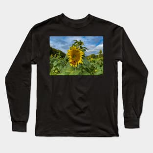 Orange Butterfly and Sunflower Long Sleeve T-Shirt